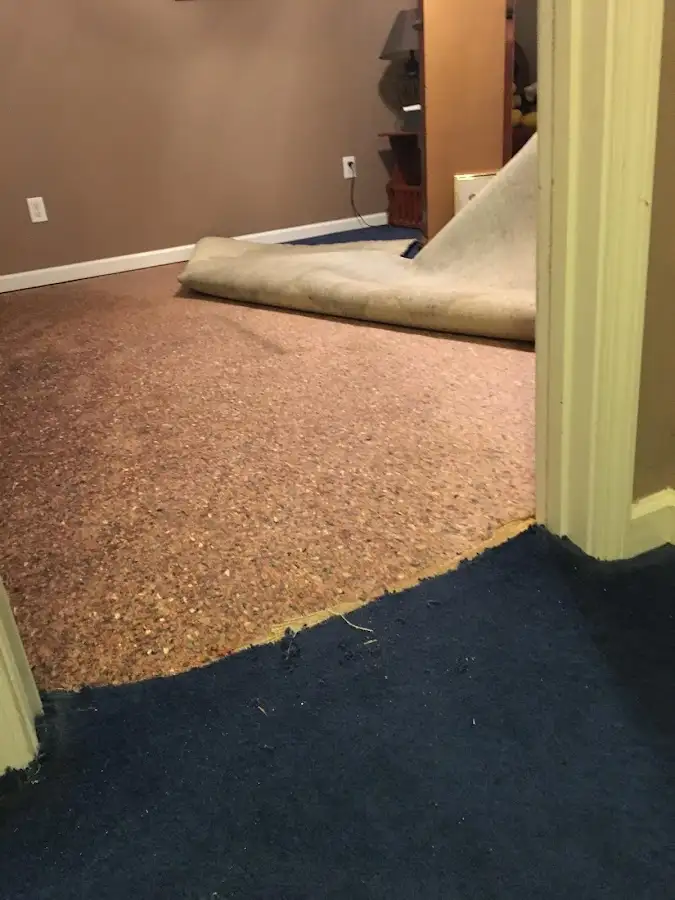 Carpet pad removal revealing water damage during Drying & Dehumidification in Dunedin
