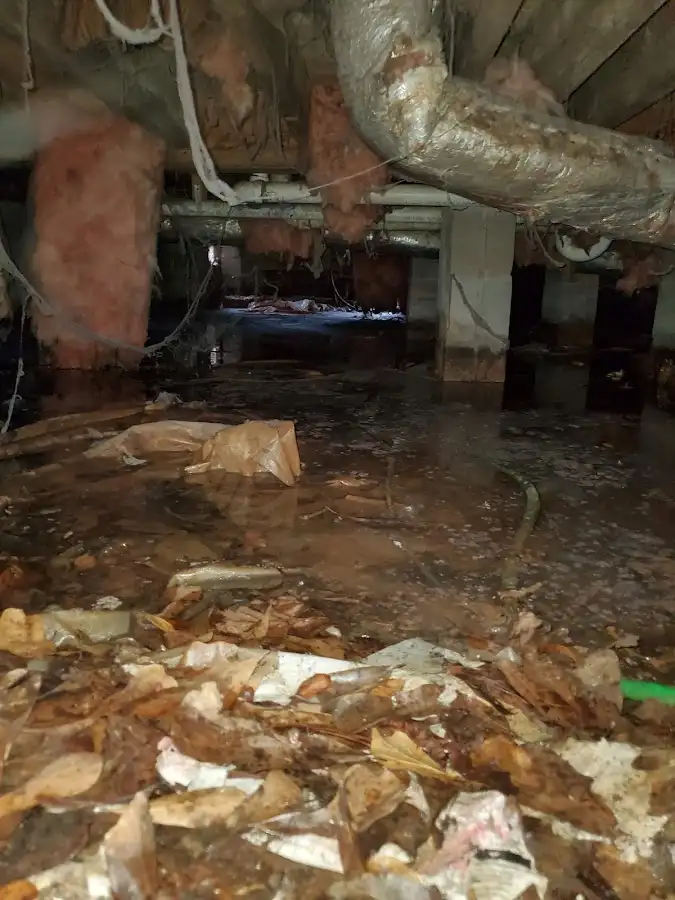 Crawl space flood assessment for Commercial Water Damage Restoration in Dunedin