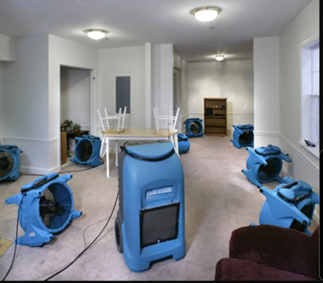 Air movers and dehumidifier setup for Water Extraction & Removal in Dunedin