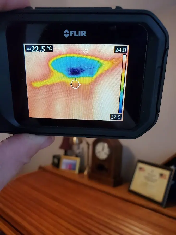 Thermal imaging inspection for water damage in Dunedin