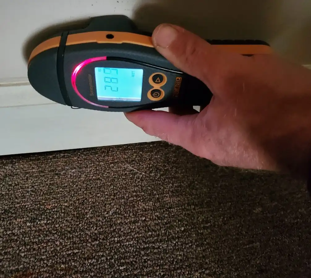 Moisture detection at baseboard during Storm Damage Restoration in Dunedin