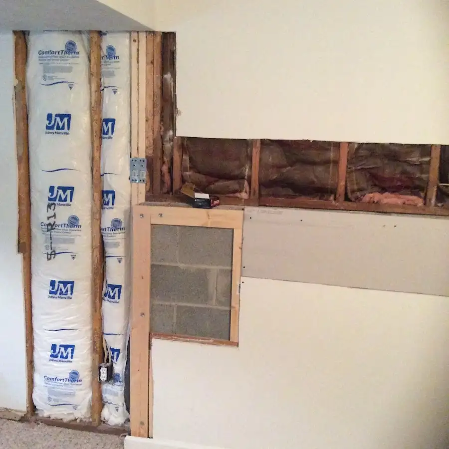 Wall insulation replacement during Odor Removal & Deodorization in Dunedin